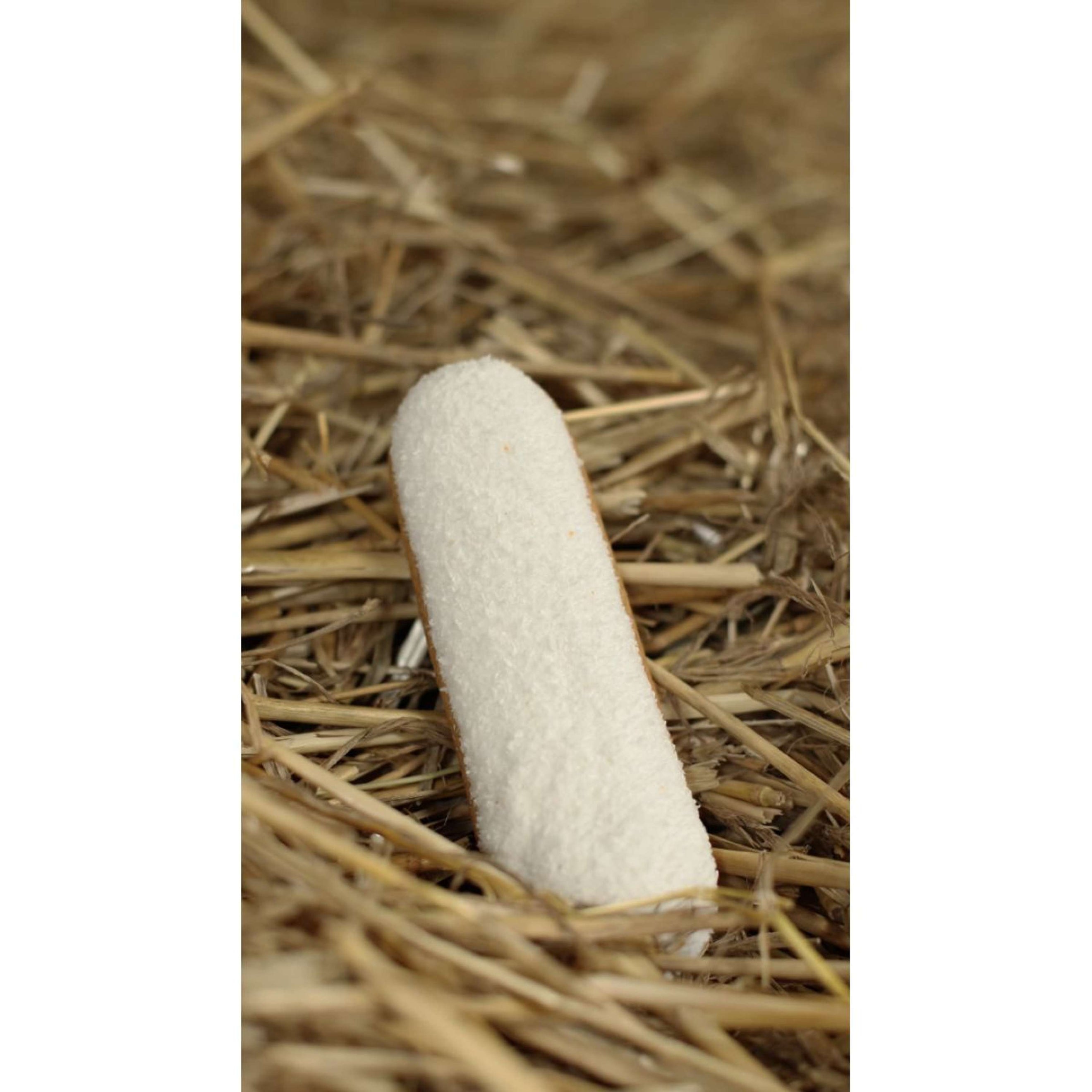 Candy Horse Biscotti Coconut Eclair