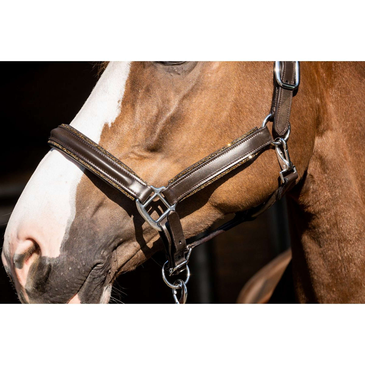 HB Showtime Capestro Glitty Glitter marrone/dorato