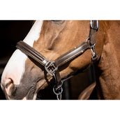 HB Showtime Capestro Glitty Glitter marrone/dorato