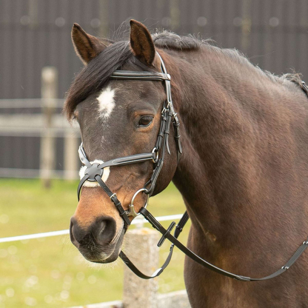 Harry's Horse Briglia Messicana Nero