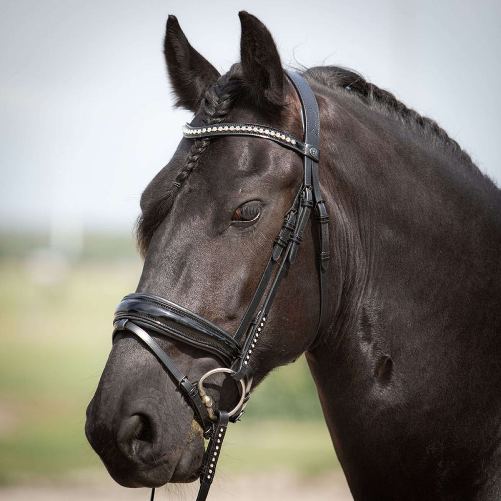 Harry's Horse Testiera Diamond Lacque Nero