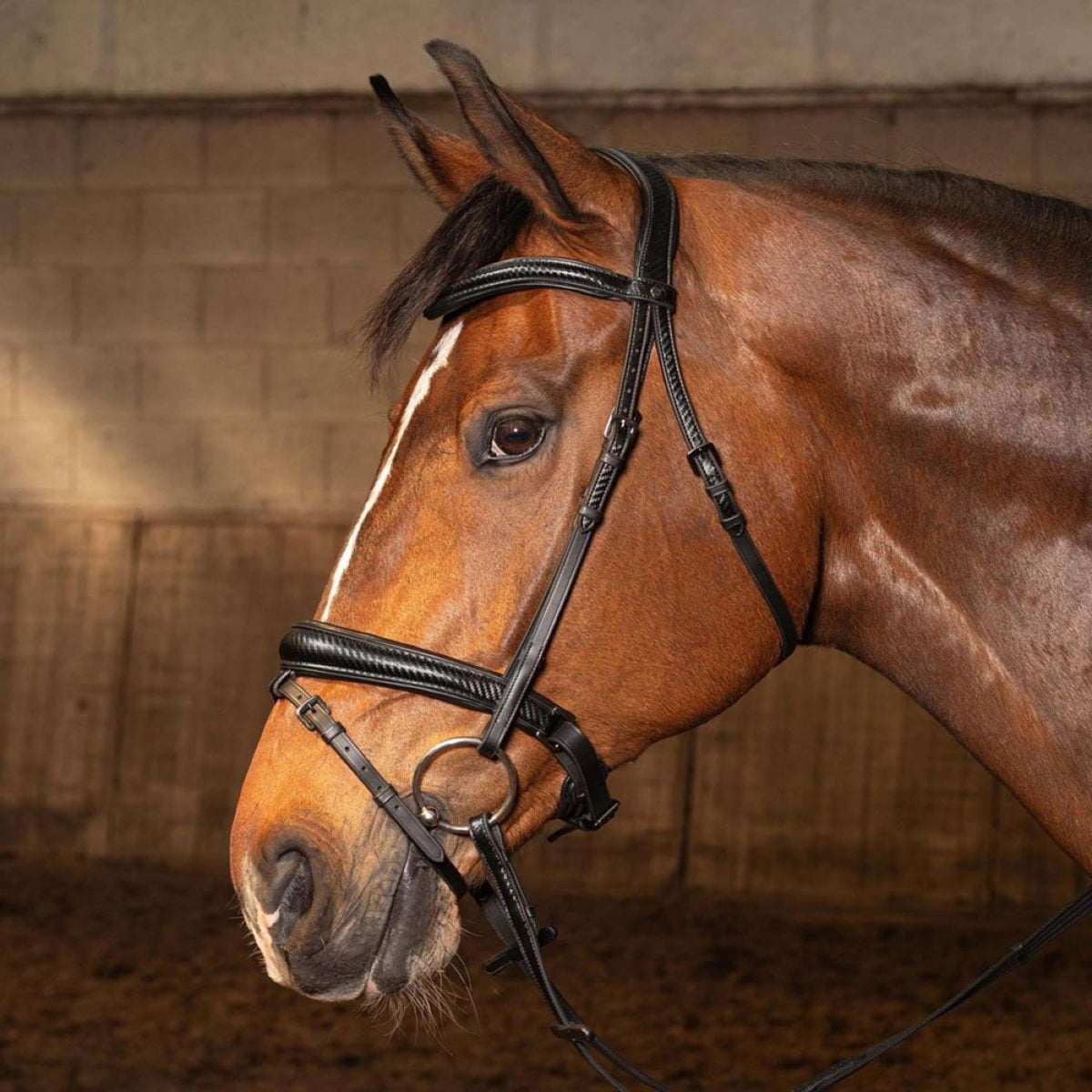 Harry's Horse Briglia Soft Carbon Black Edition Nero