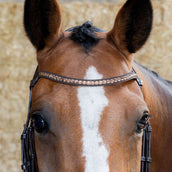 Harry's Horse Briglia Copper Marrone