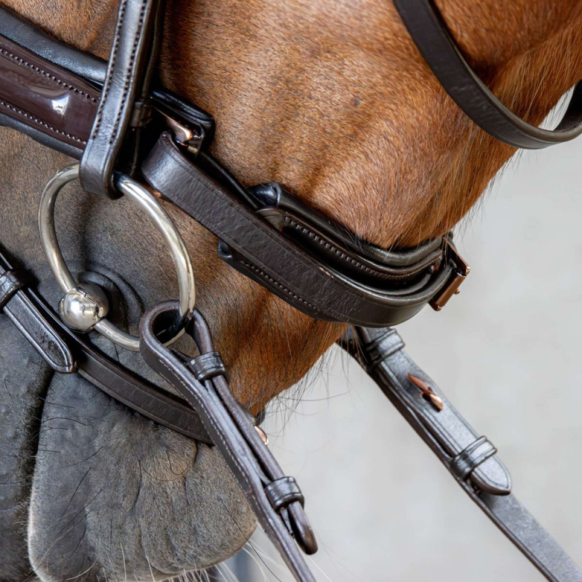 Harry's Horse Briglia Copper Marrone