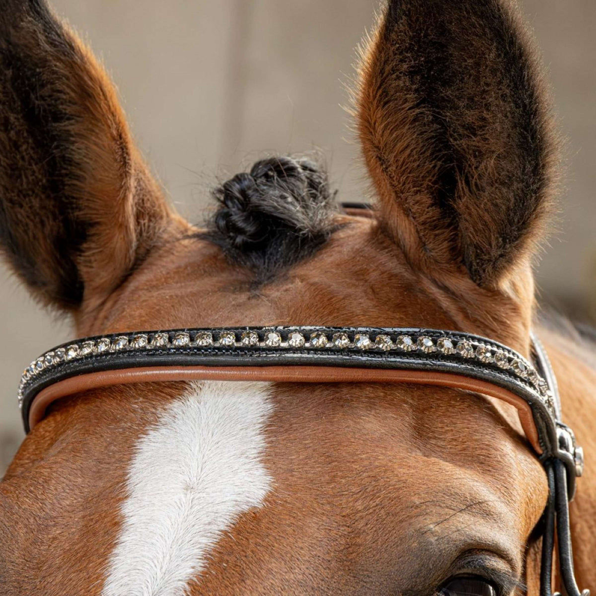 Harry's Horse Briglia Black Cognac Nero