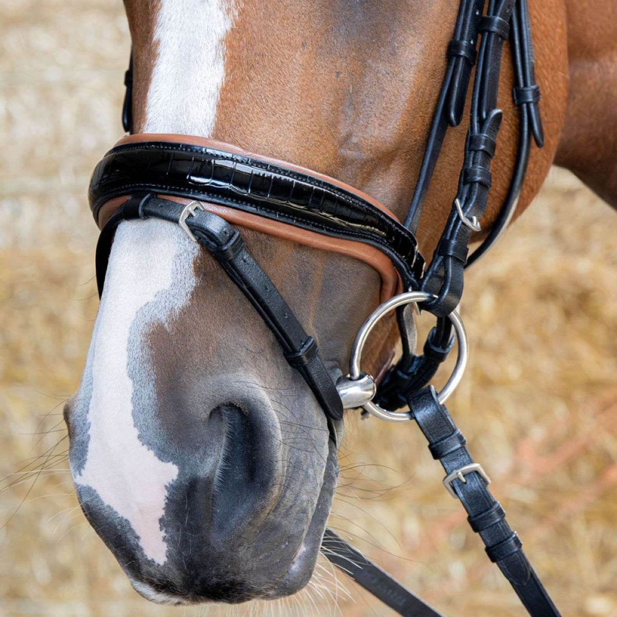 Harry's Horse Briglia Black Cognac Nero