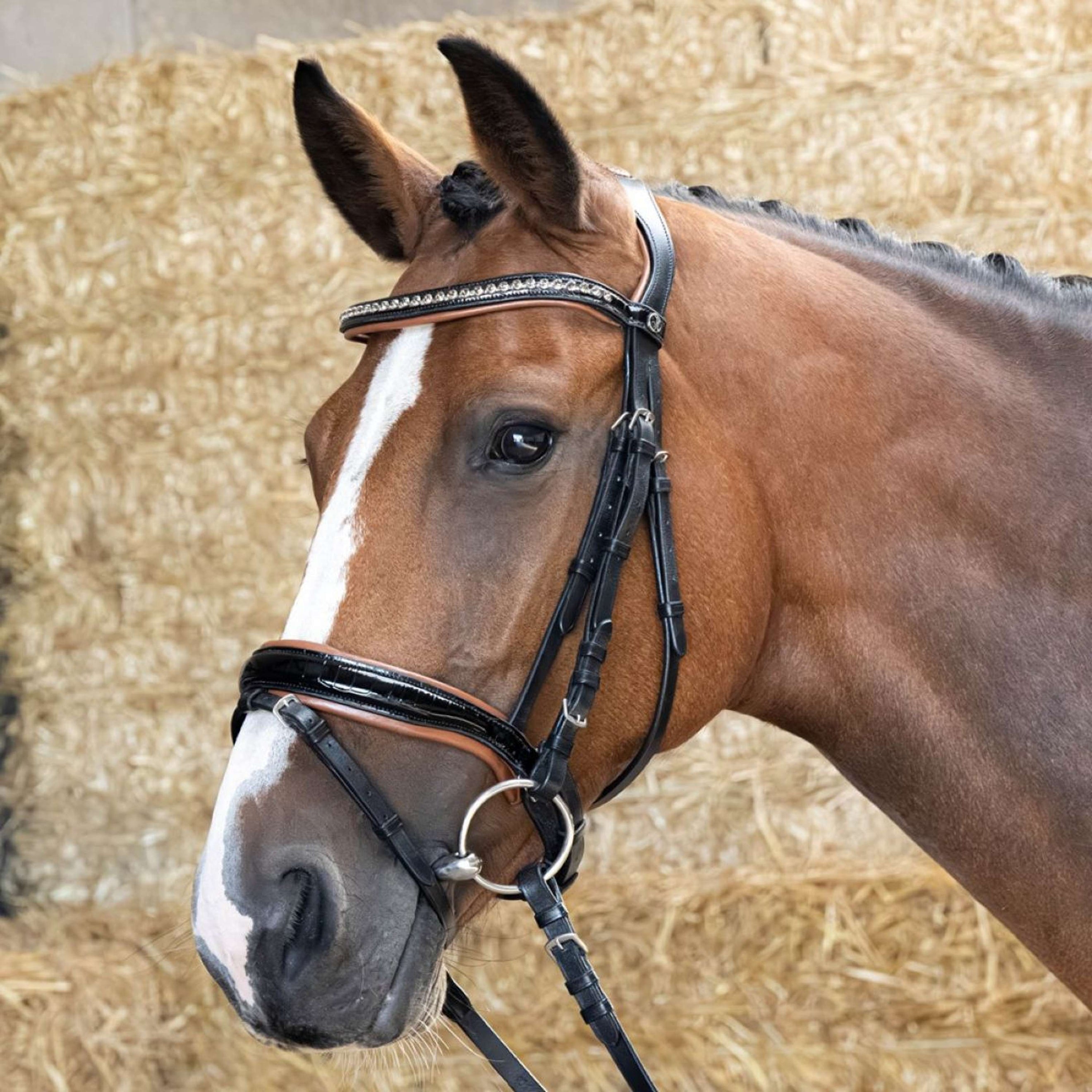 Harry's Horse Briglia Black Cognac Nero Harry's Horse Briglia Black Cognac Nero