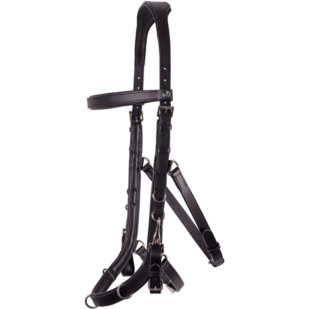 Harry's Horse Capezza Leder Anatomic Nero