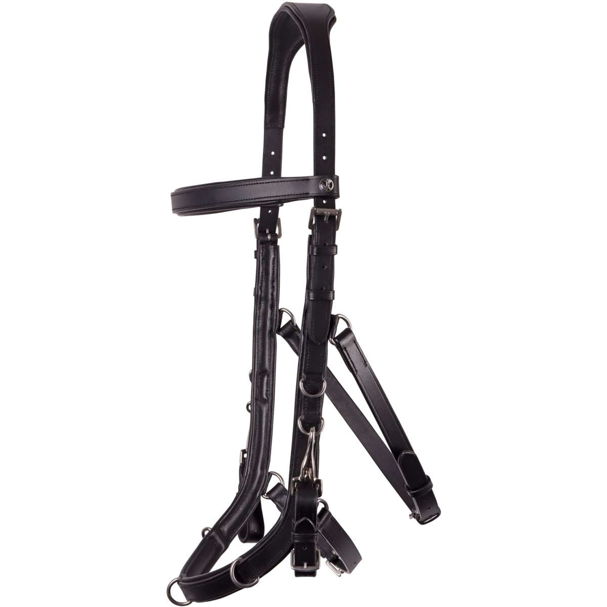 Harry's Horse Capezza Leder Anatomic Nero