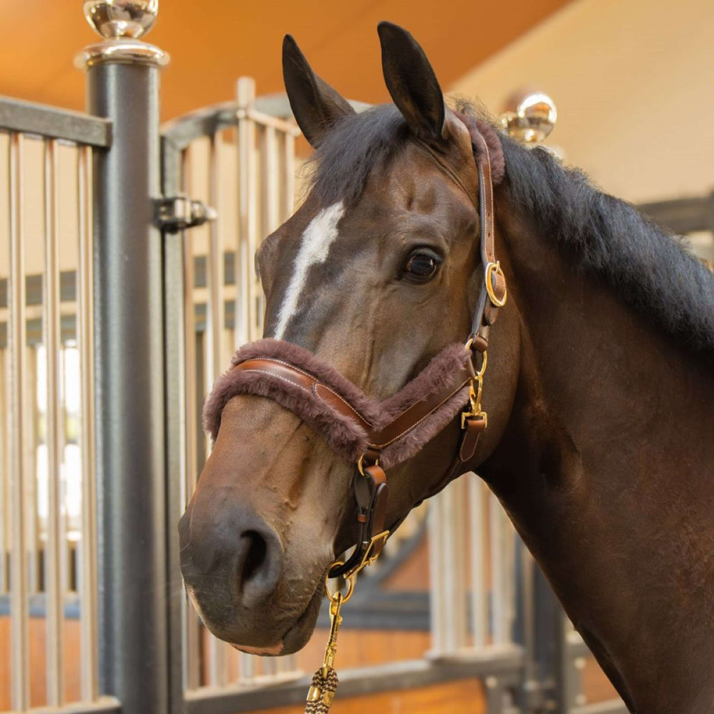 Harry's Horse Cavezza Leder Anatomic Furry Matt Marrone