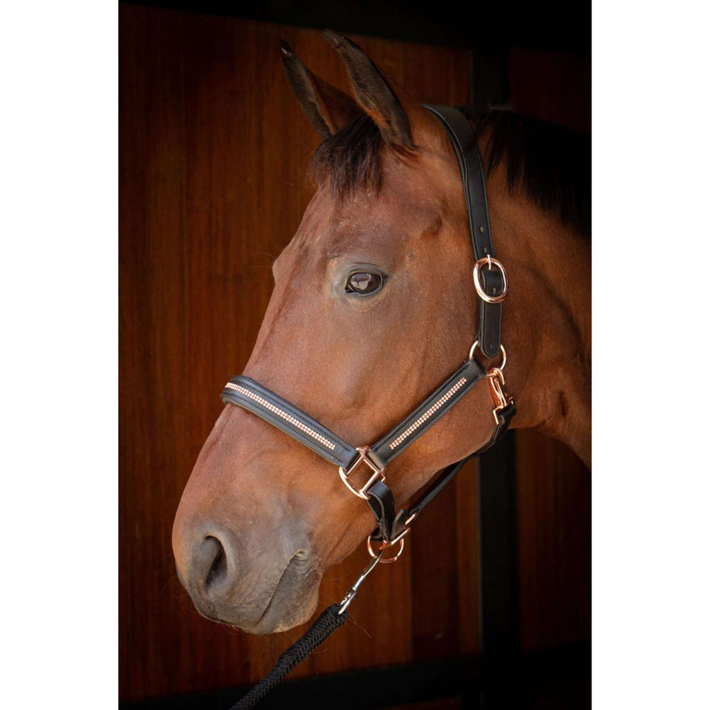 Harry's Horse Cavezza Leder Metallic Nero/Oro rosa