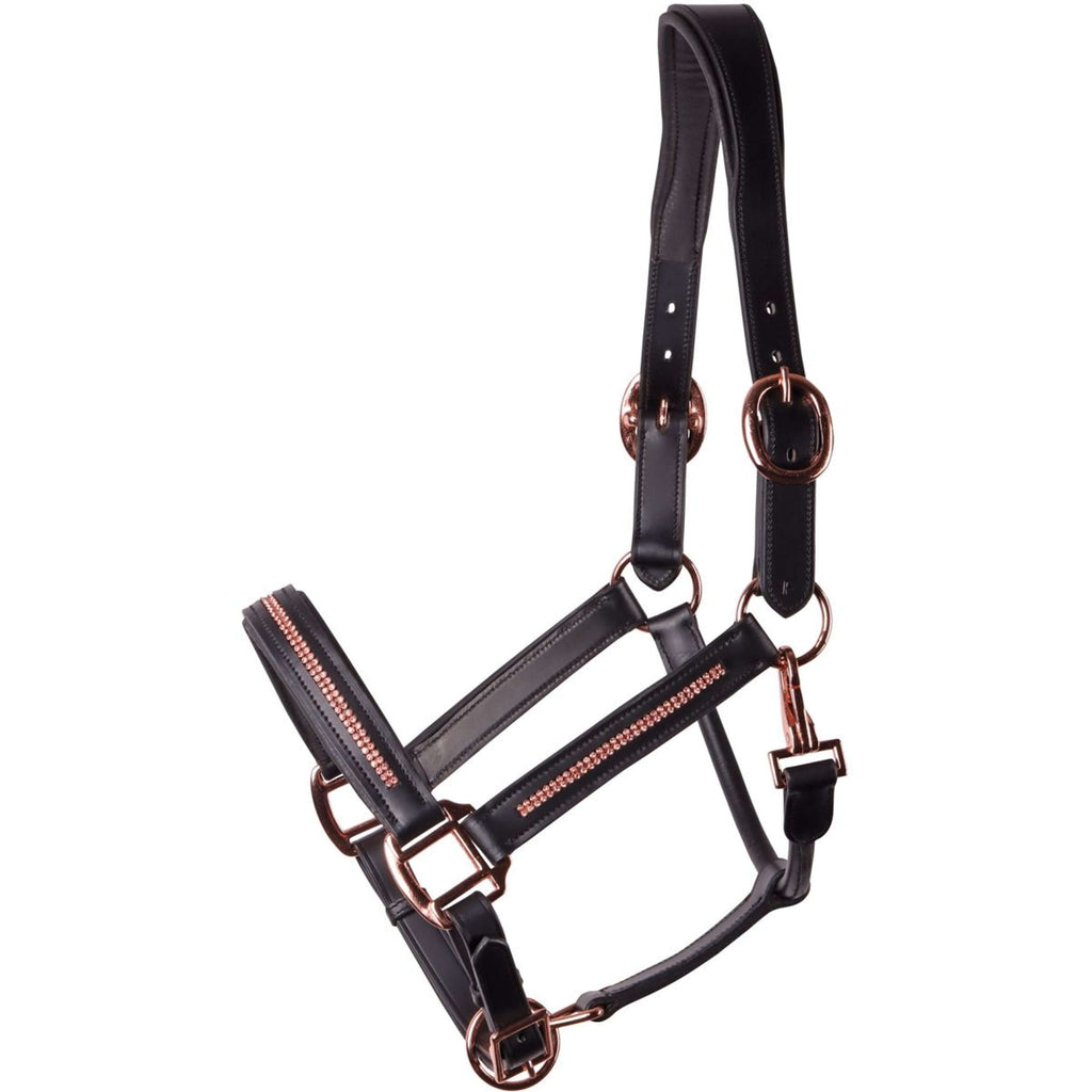 Harry's Horse Cavezza Leder Metallic Nero/Oro rosa