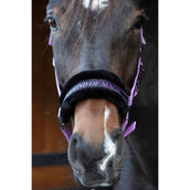 Citazioni dal testo di Harry's Horse Halter Lilla