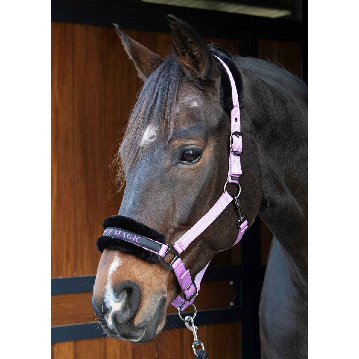 Citazioni dal testo di Harry's Horse Halter Lilla