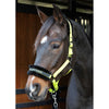 Harry's Horse Cavezza Lyrics Quotes Lime
