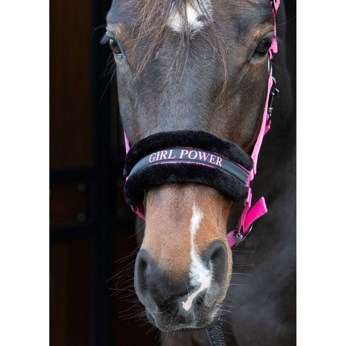 Citazioni dal testo di Harry's Horse Halter Rosa
