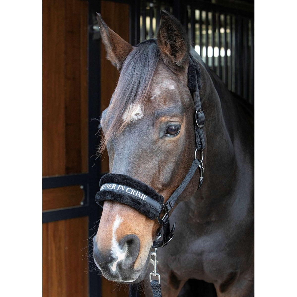 Citazioni dal testo di Harry's Horse Halter Nero