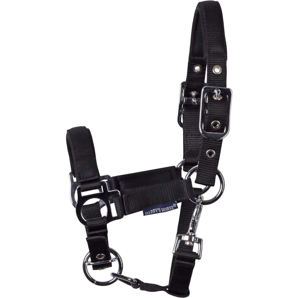 Harry's Horse Cavezza per puledro Padded Nero