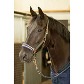 Harry's Horse Set Cavezza Denici Cavalli Bosque Verde militare