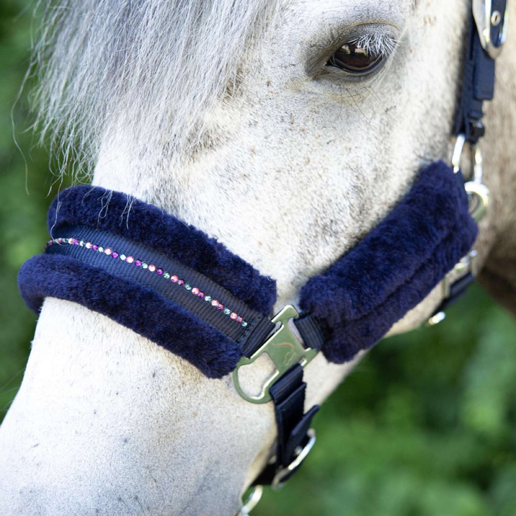 Harry's Horse Set Cavezza Denici Cavalli Purple Passion Crystal Peacoat
