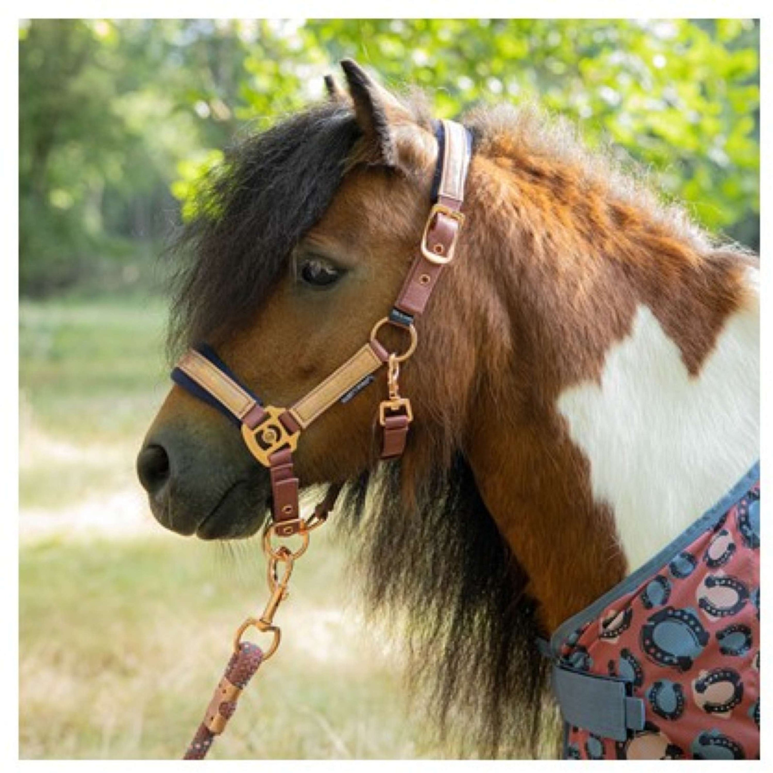Harry's Horse Set Cavezza Diva Mauvewood Mauvewood