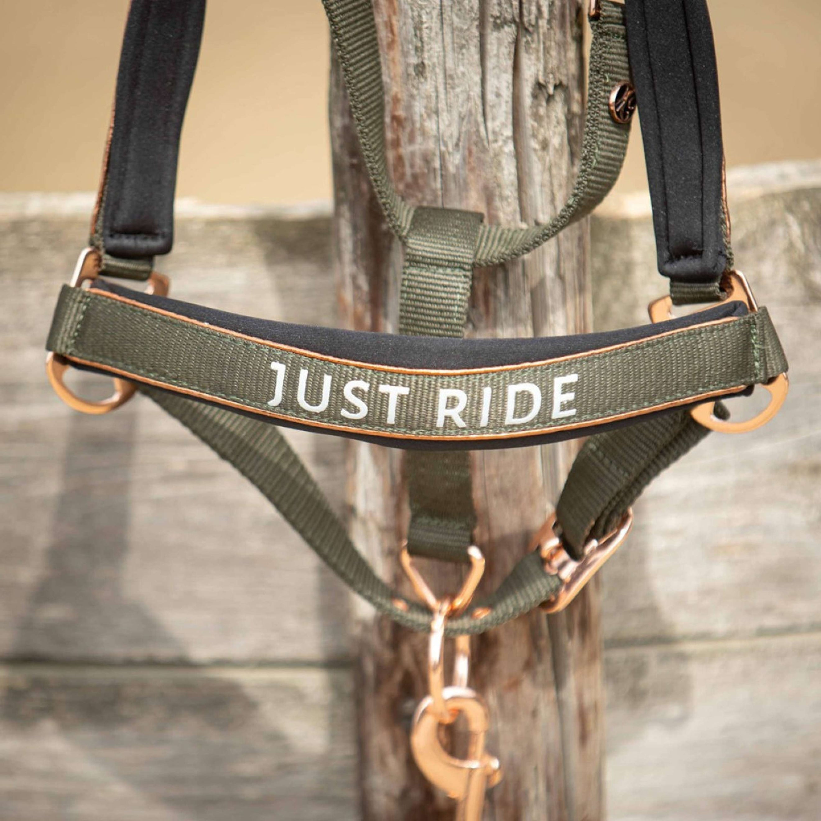 Harry's Horse Set Cavezza Just Ride Summer Chique Kambaba