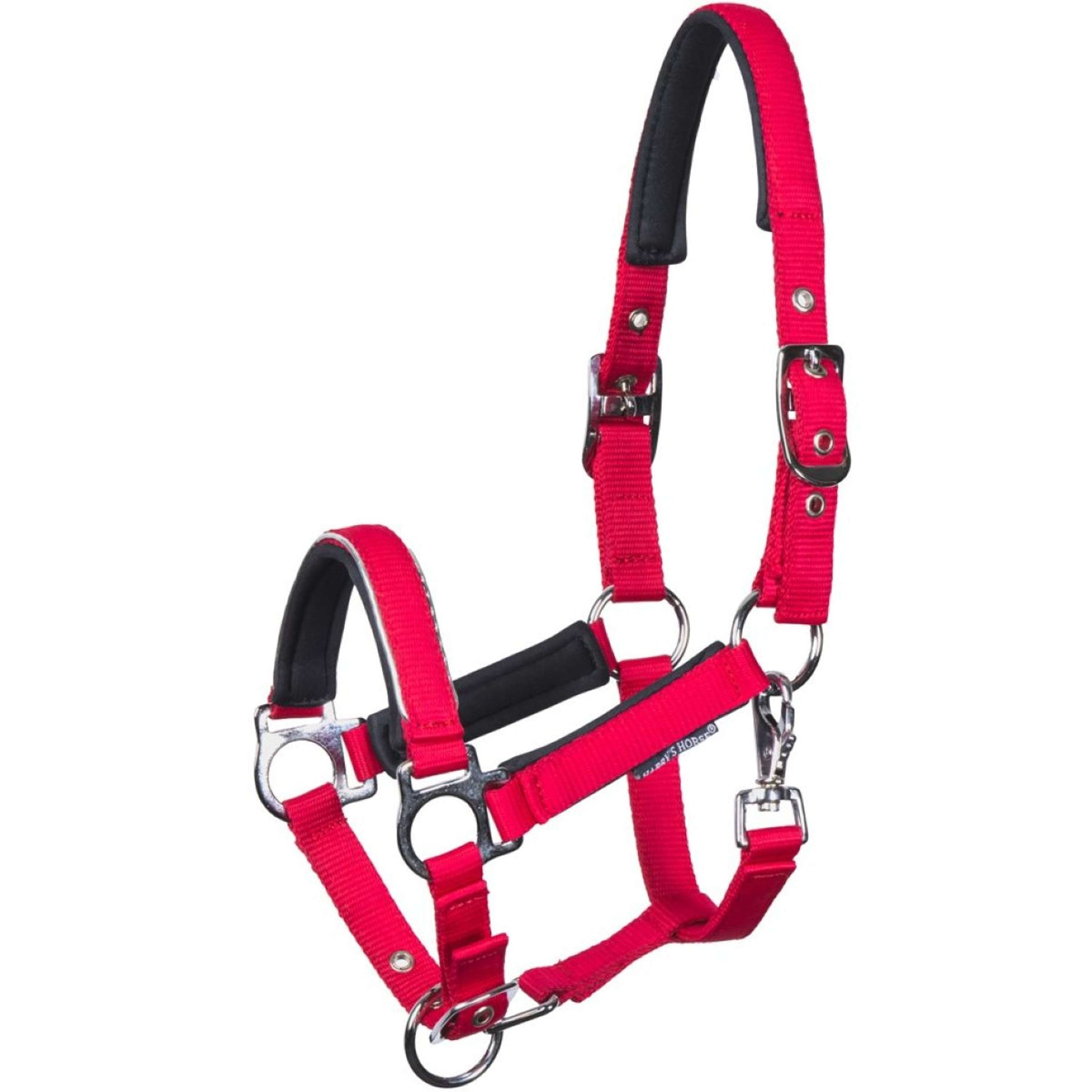 Harry's Horse Cavezza per puledro Metal Barberry