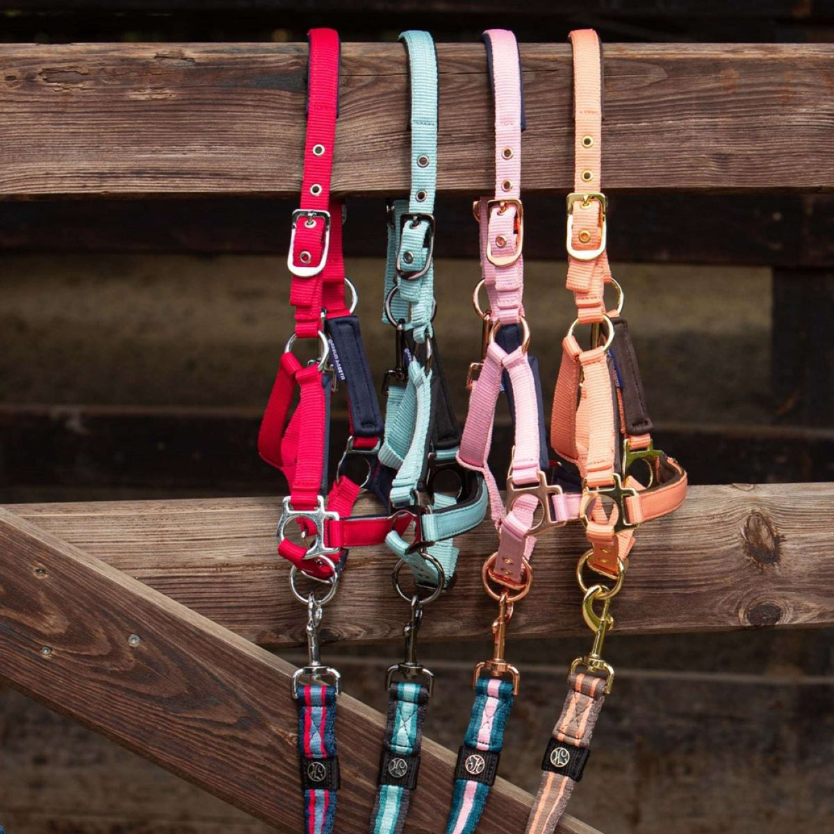 Harry's Horse Cavezza per puledro Metal Pastel Turquoise