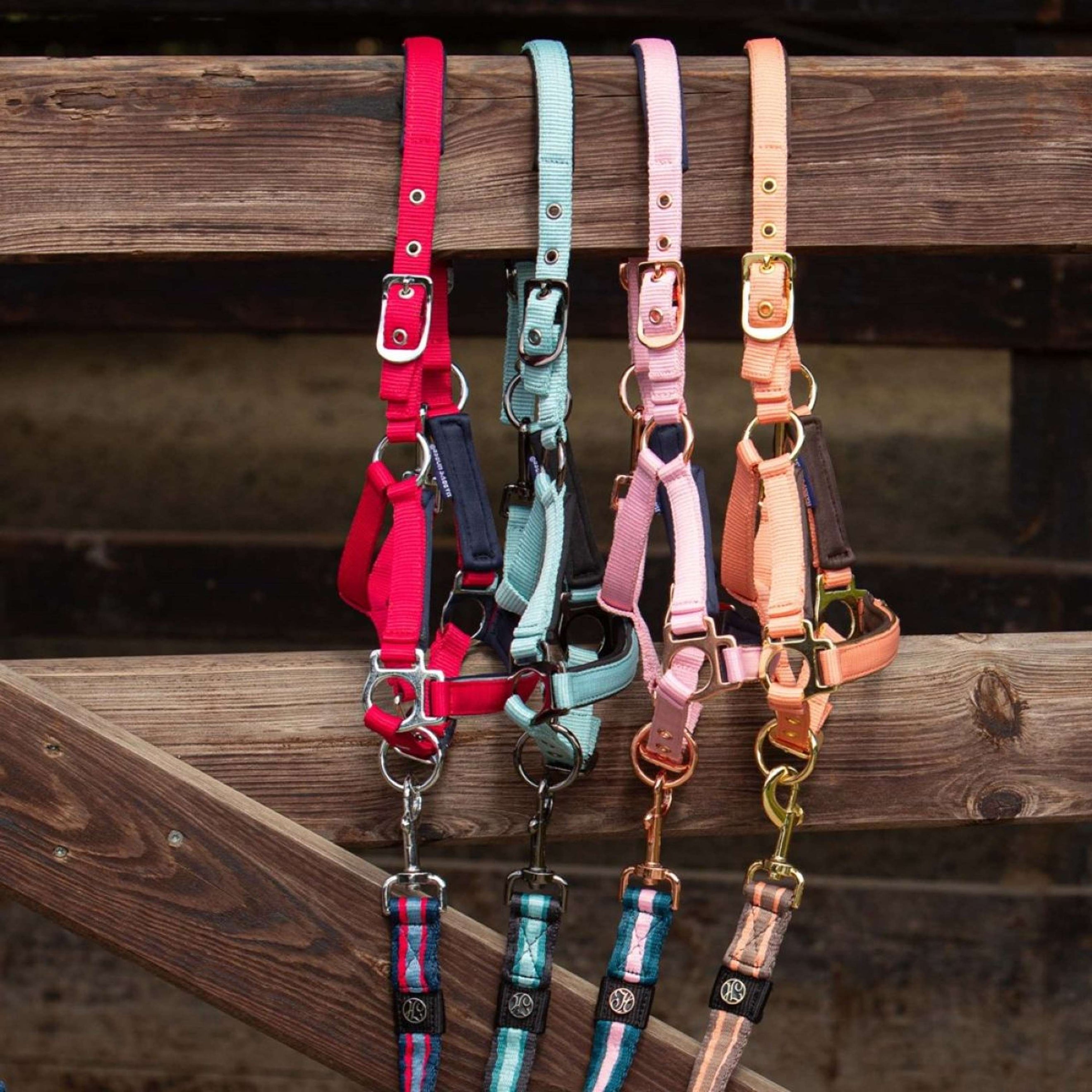 Harry's Horse Cavezza per puledro Metal Pastel Turquoise
