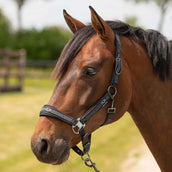 Harry's Horse Set Cavezza Equestrian Society Black Sand