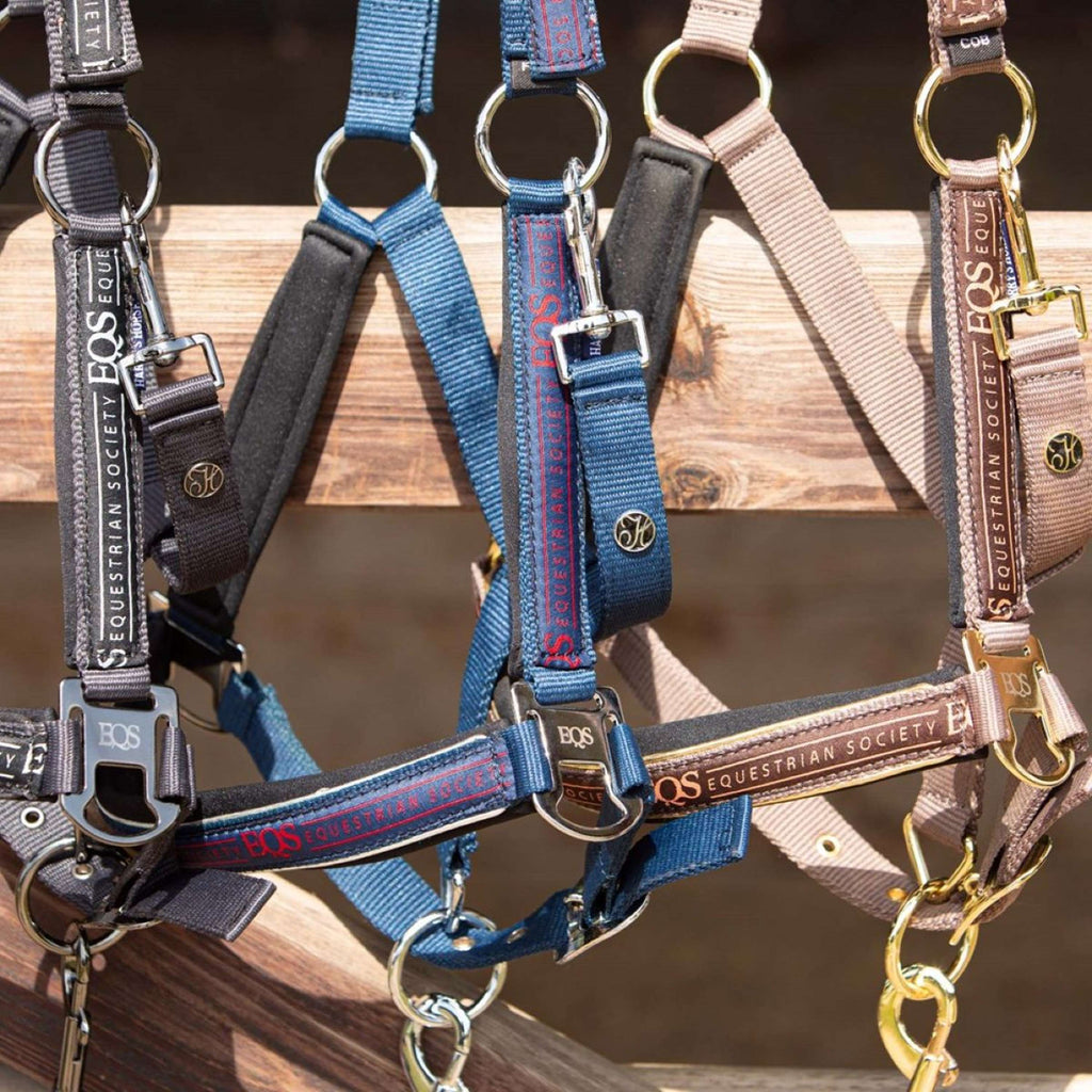Harry's Horse Set Cavezza Equestrian Society Moonlit Ocean