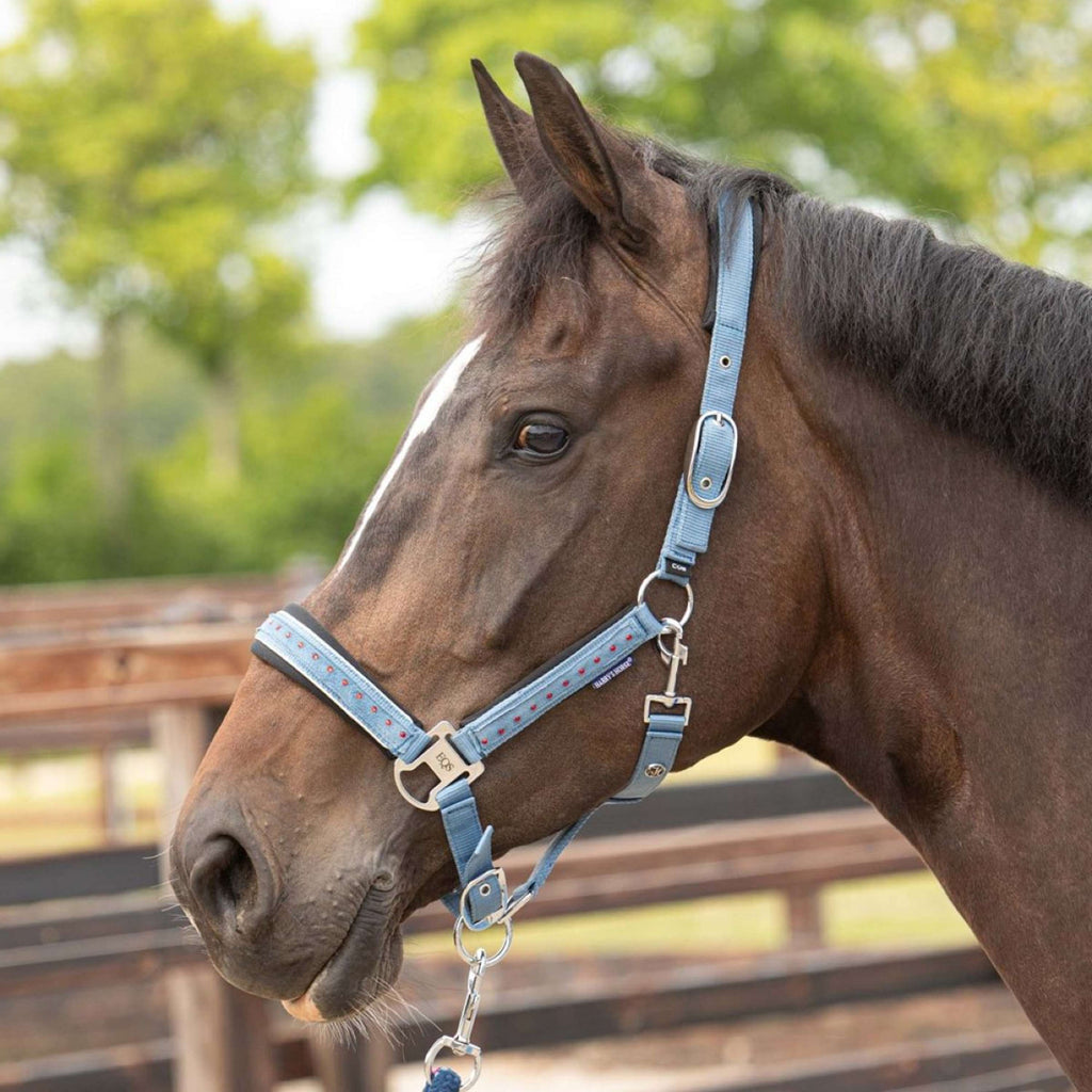 Harry's Horse Set Cavezza Crystal Blue Heaven