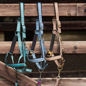 Harry's Horse Set Cavezza Crystal Teal