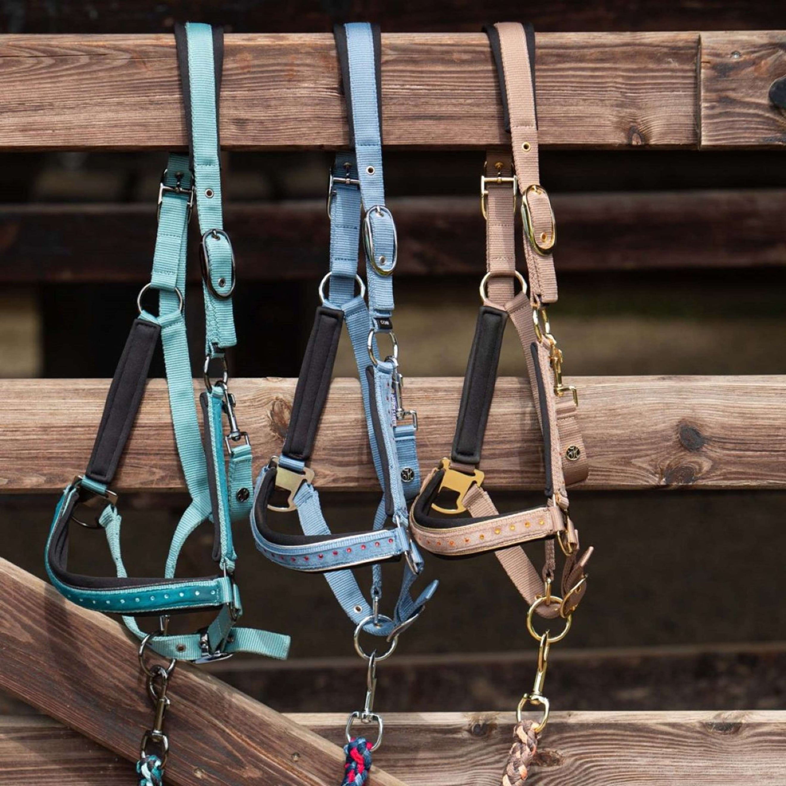 Harry's Horse Set Cavezza Crystal Teal