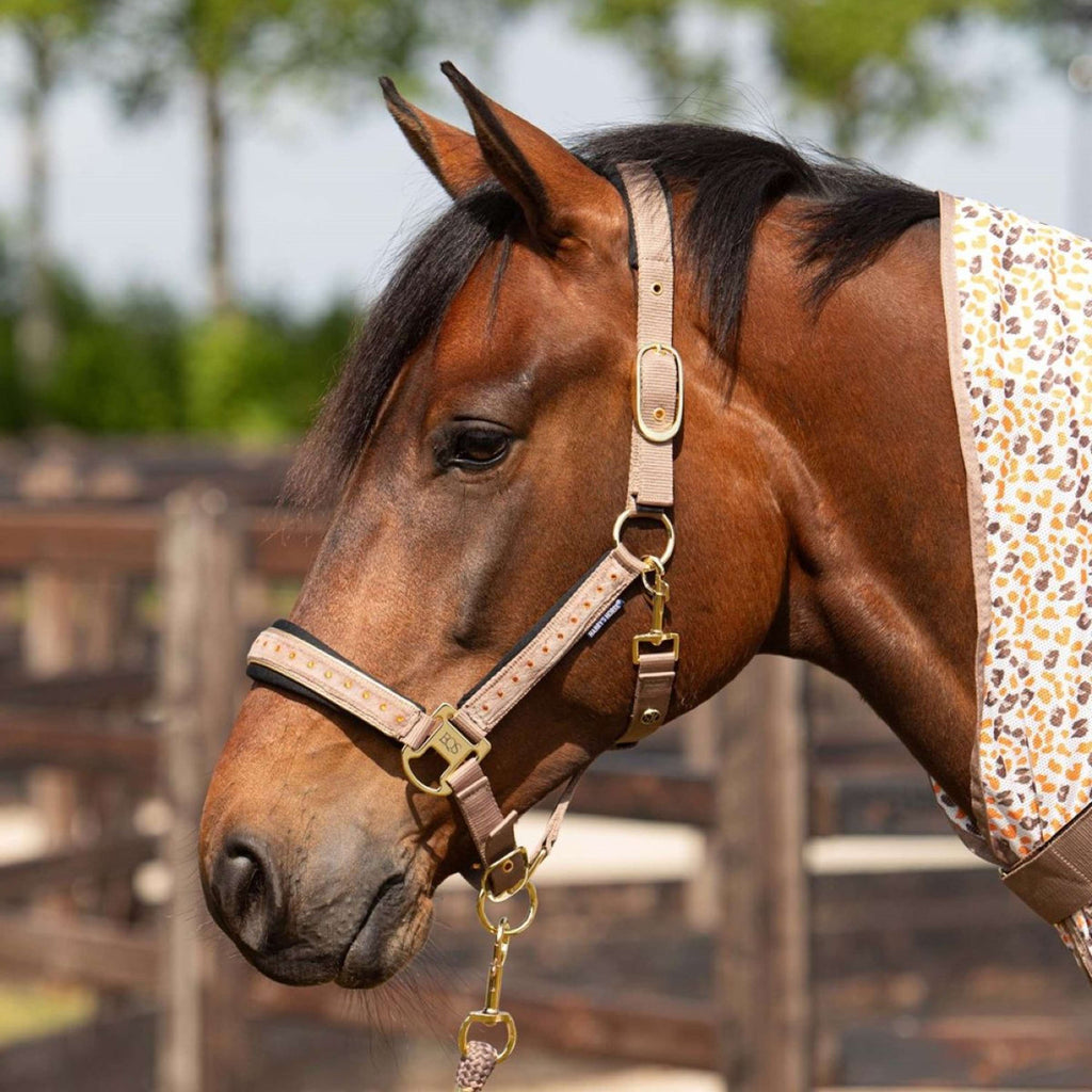 Harry's Horse Set Cavezza Crystal Taupe Grey