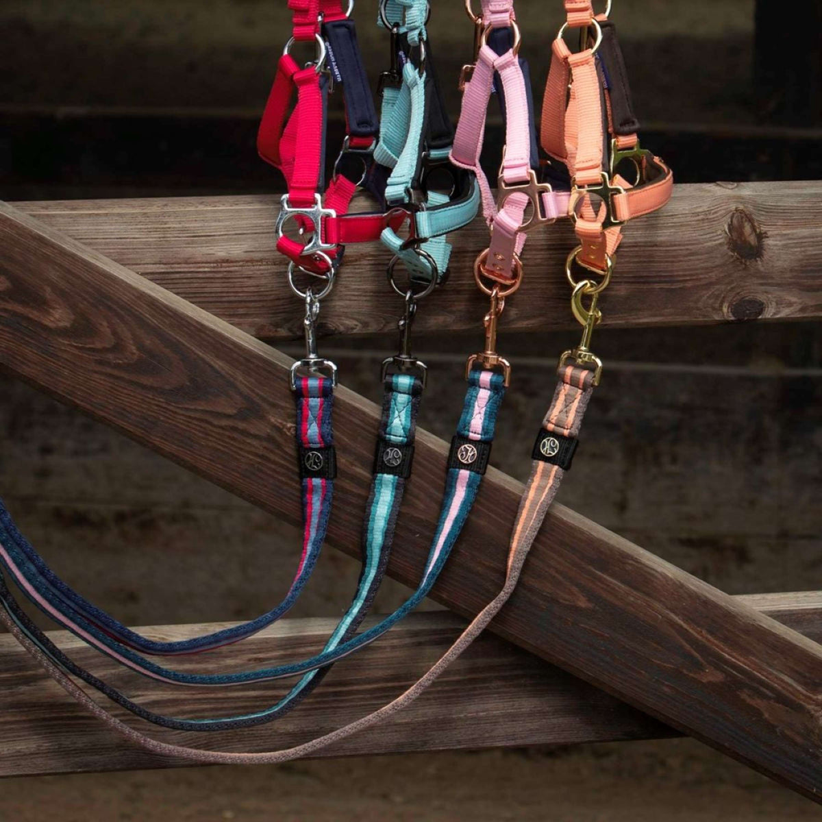 Harry's Horse Cordino Soft Reflecting Pond