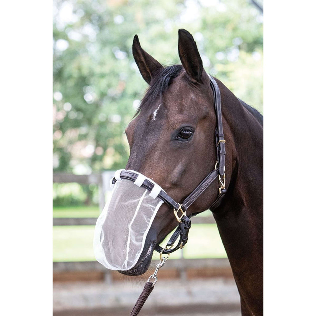 Harry's Horse Rete nasale Bianco