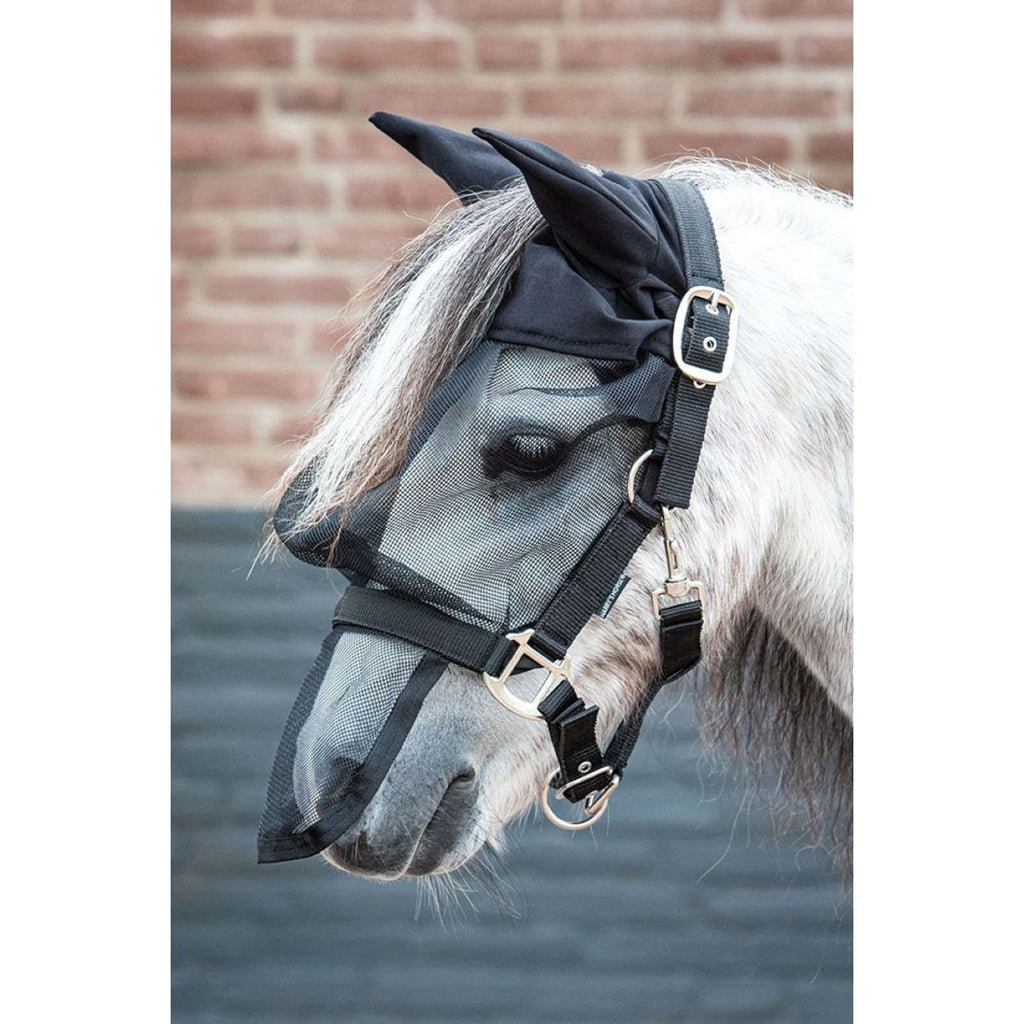 Harry's Horse Capezza con Maschera Antimosche