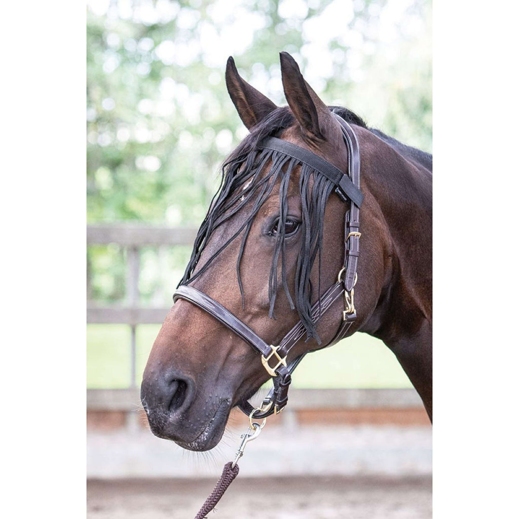 Harry's Horse Frontalino Anti-Mosche Nero