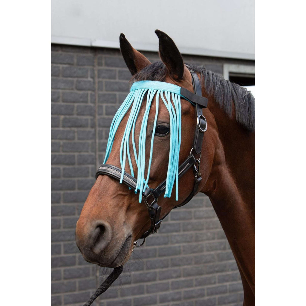 Harry's Horse Frontalino Anti-Mosche Colour Azzurro