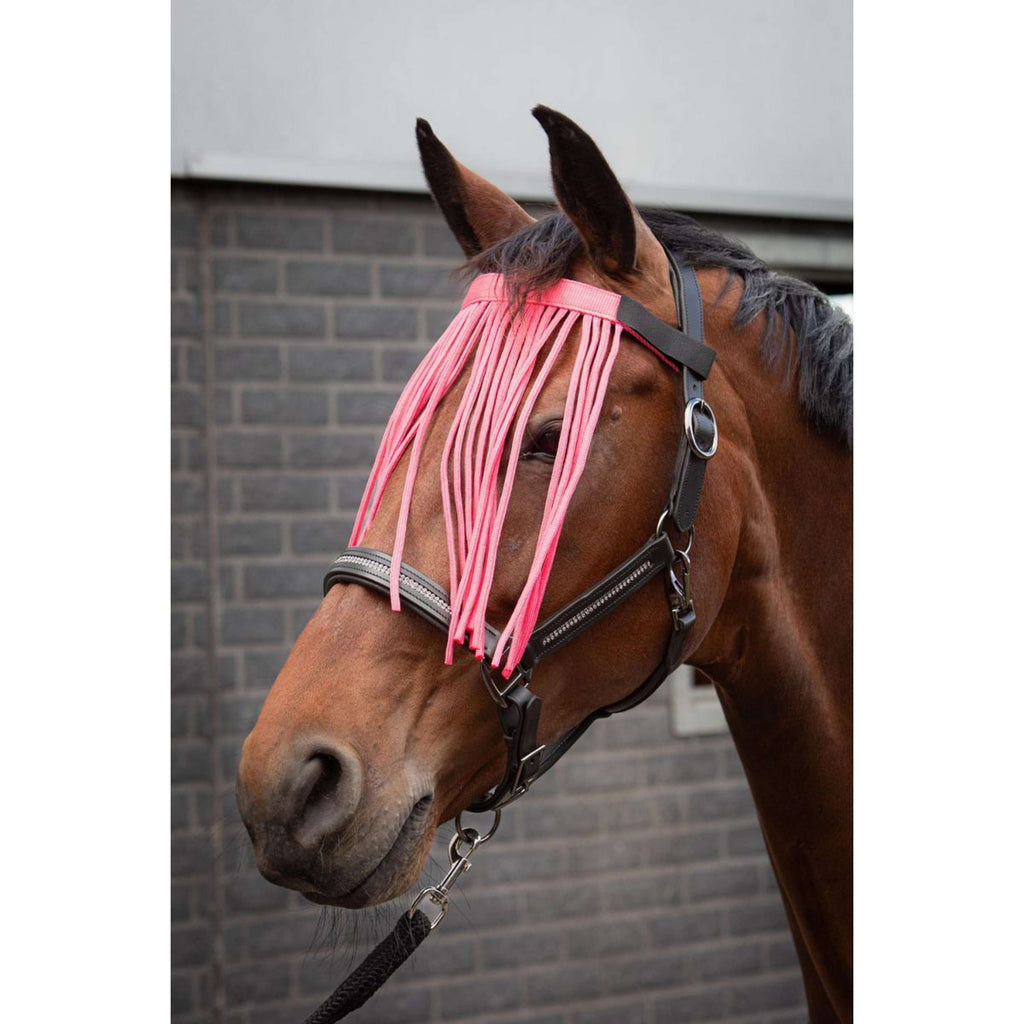 Harry's Horse Frontalino Anti-Mosche Colour Rosa