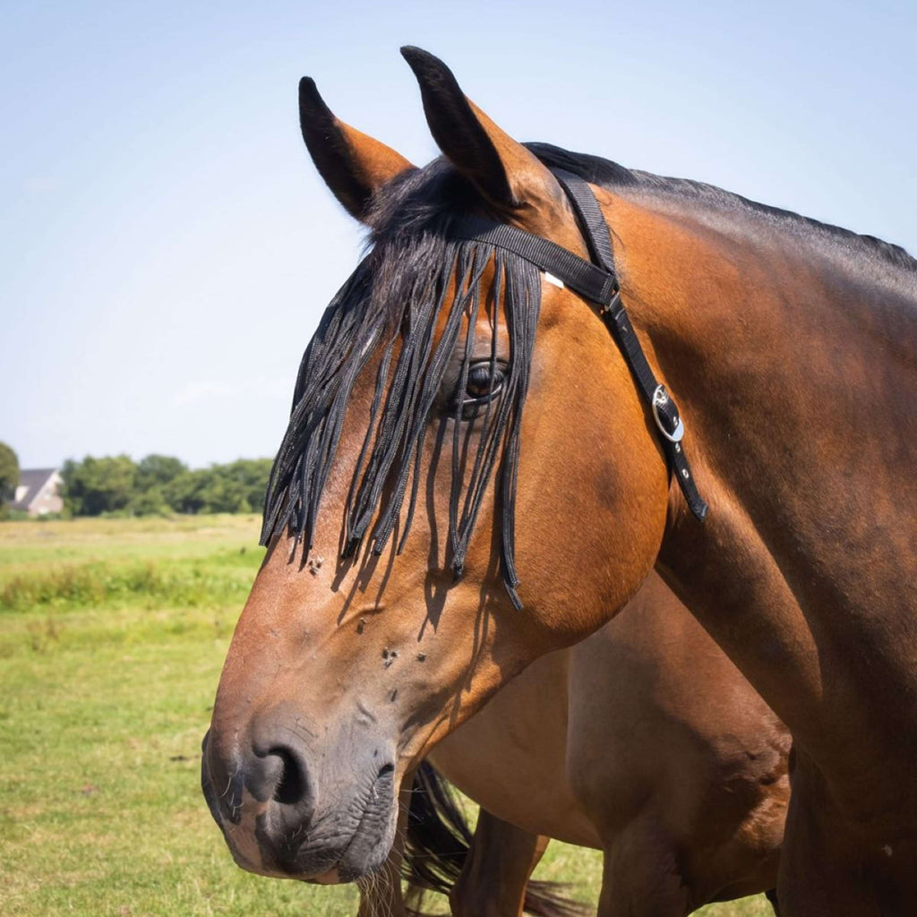Harry's Horse Frontalino Anti-Mosche Comfort+ Nero