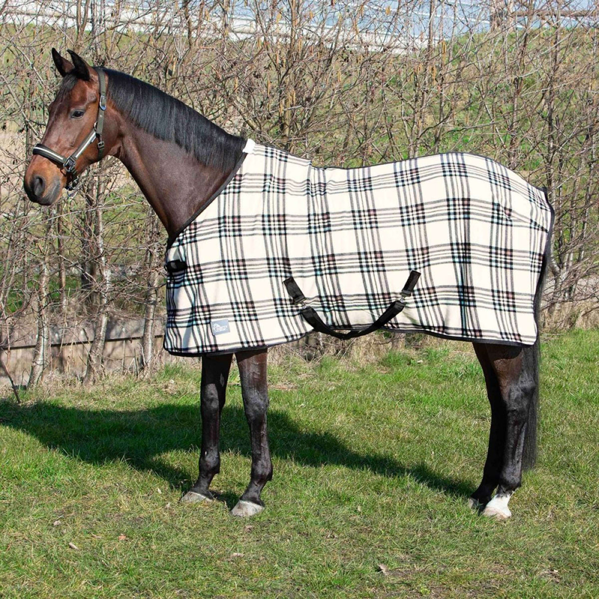 Harry's Horse Coperta in Pile Check Crema