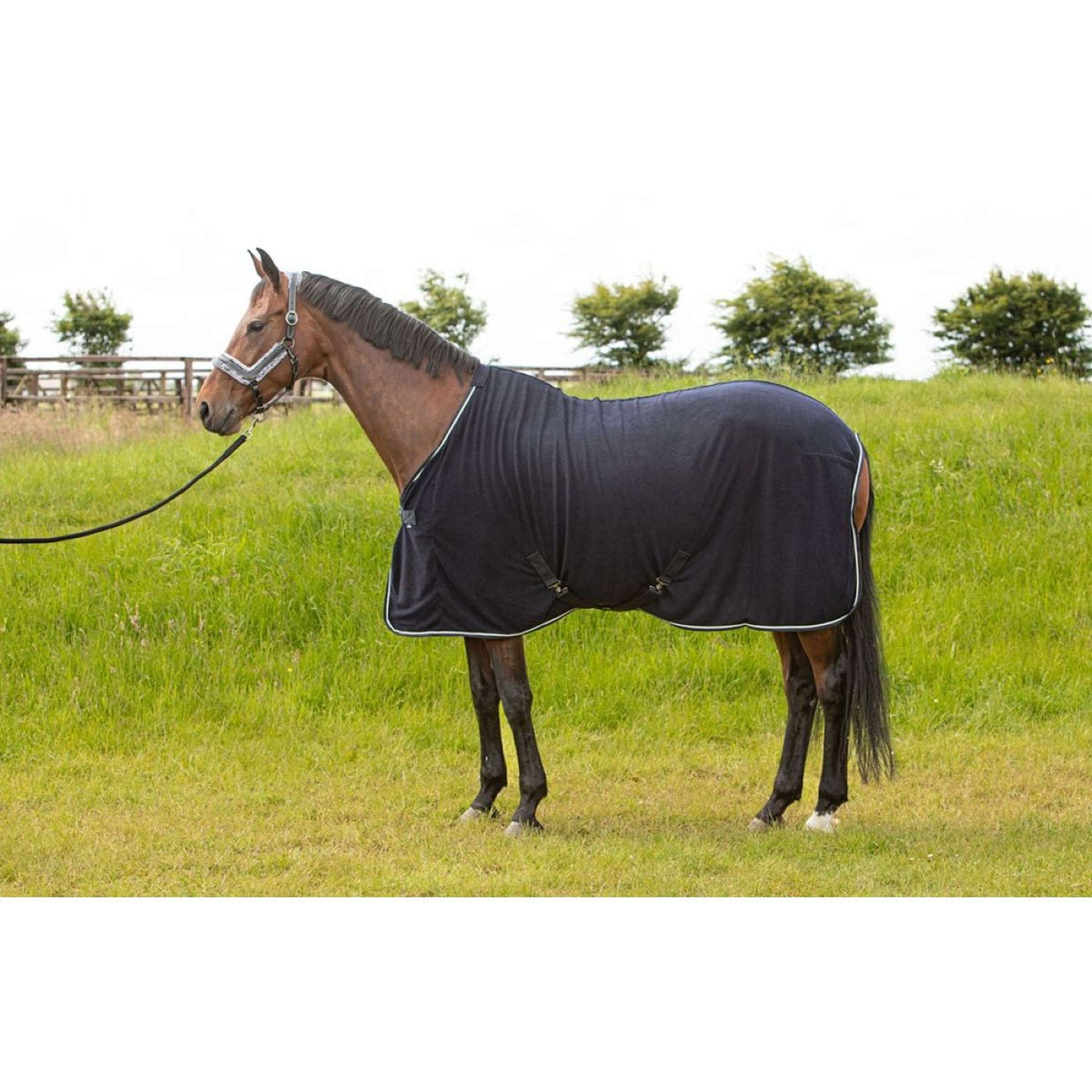 Harry's Horse Coperta Rinfrescante Light Weight Corduroy Navy