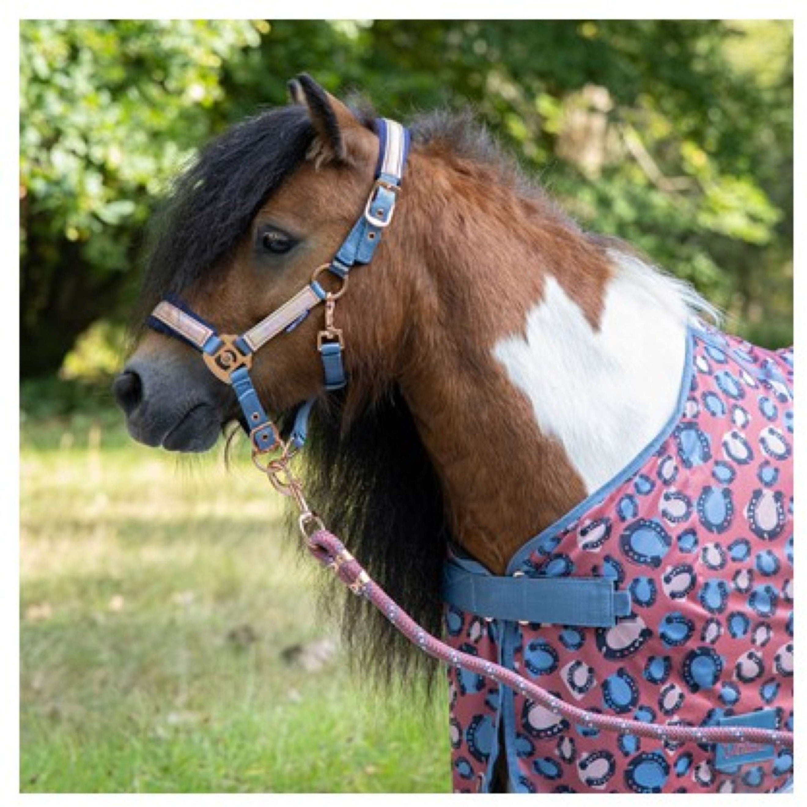 Harry's Horse Coperta Antimosche Diva Mauvewood Mesh-Pro Mauvewood