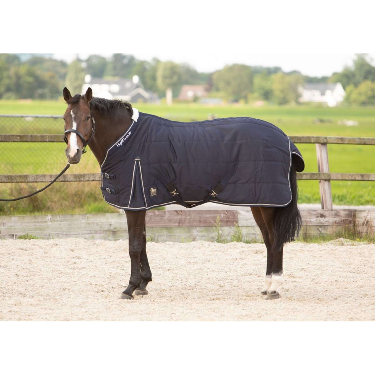 Harry's Horse Coperta da scuderia Highliner 200 g Navy