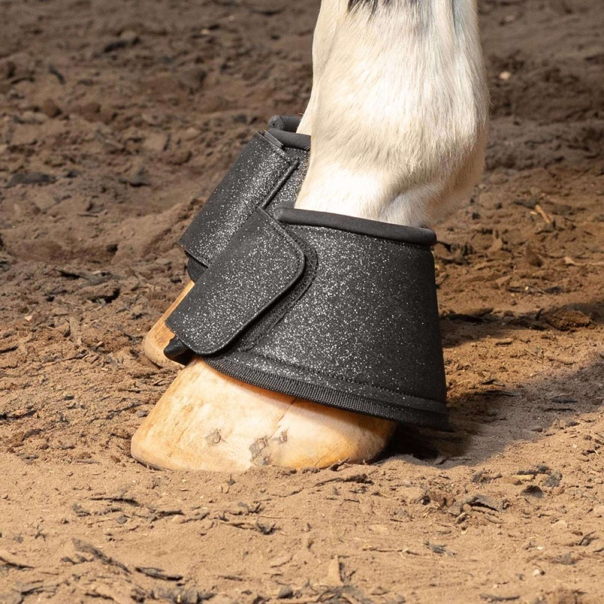Harry's Horse Stivaletti a Campana Galaxy Black Nero