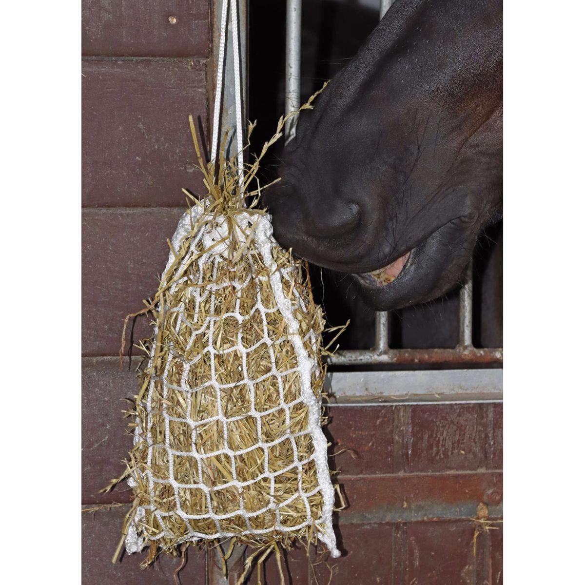 Harry's Horse Rete da Fieno Slow Feeder Mini Bianco