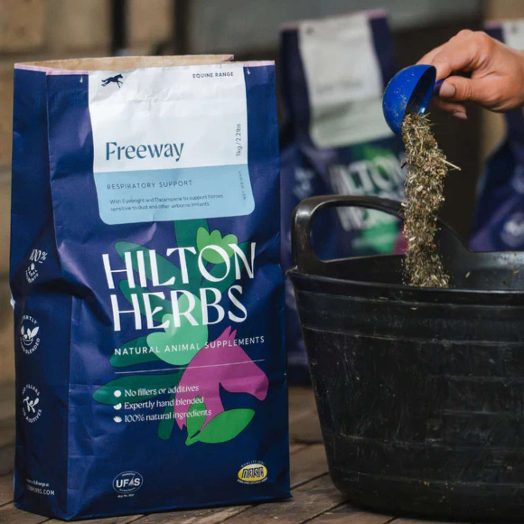 Hilton Herbs Erbe Freeway