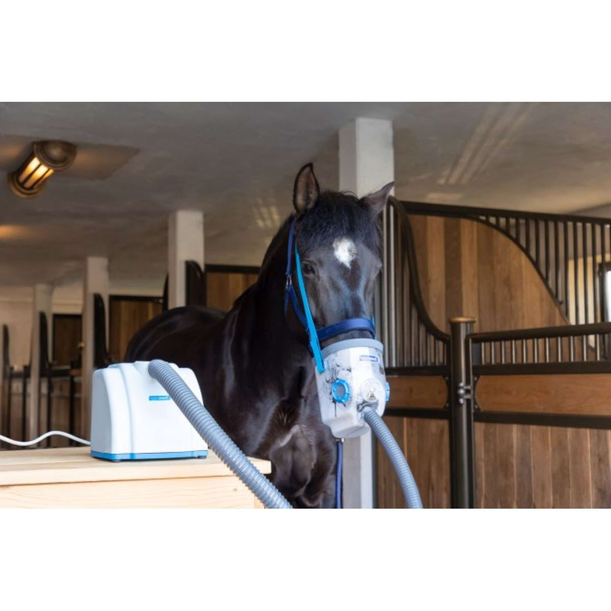 Hippomed Inalatore Ultrasound AirOne